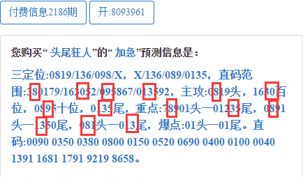 2024年12月22日 第33页