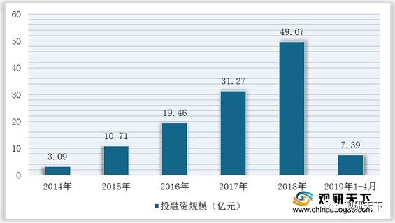 2024年12月22日 第31页