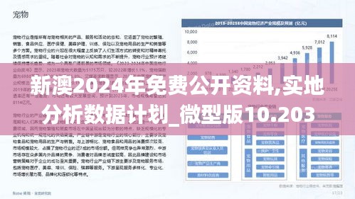 新澳2024年精准资料32期,最新调查解析说明_tool52.393