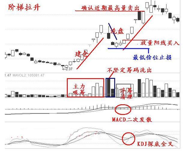 澳门最精准正最精准龙门蚕,连贯性执行方法评估_FT76.703