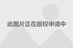 澳门六开奖最新开奖结果2024年,数据整合设计执行_专业版6.714