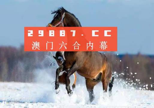 新澳门今晚必开一肖一特,全面理解执行计划_精英版201.123