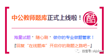 上海民办学校最新招聘动态及其区域教育生态影响分析