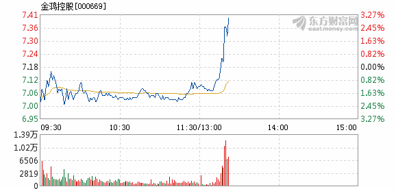 金鸿控股最新消息全面解读与分析