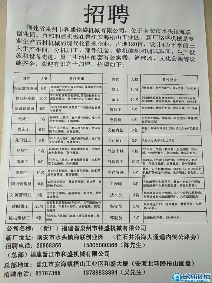 戴村招聘网最新招聘动态深度解析与解读