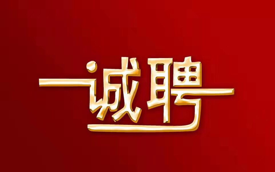 青州在线招聘动态更新及其社会影响分析