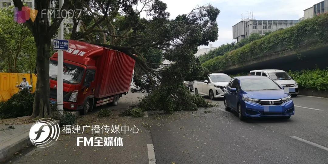 福州车祸最新消息，事故原因深度探究与救援进展