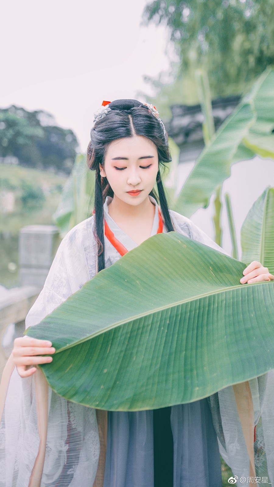 相忆采芙蓉gl，情感奇幻之旅的最新章节